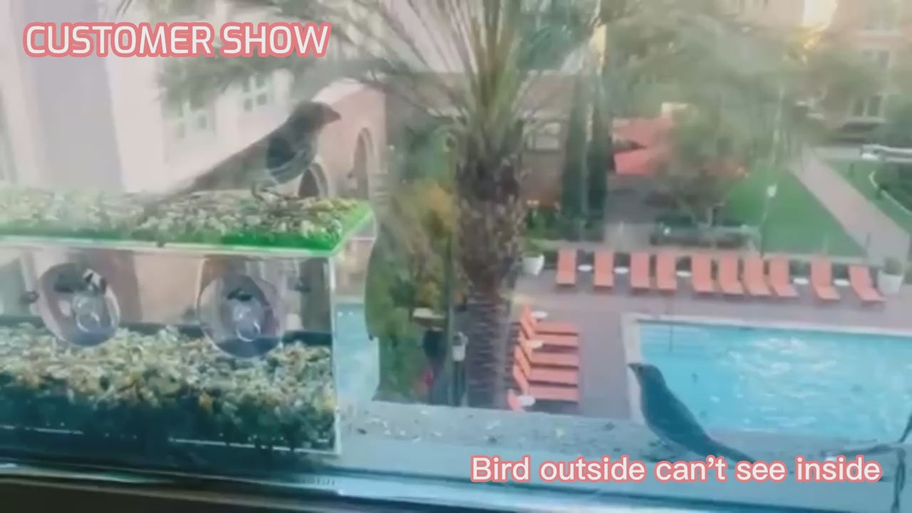 Multi-size window  Sun - Blocking Film