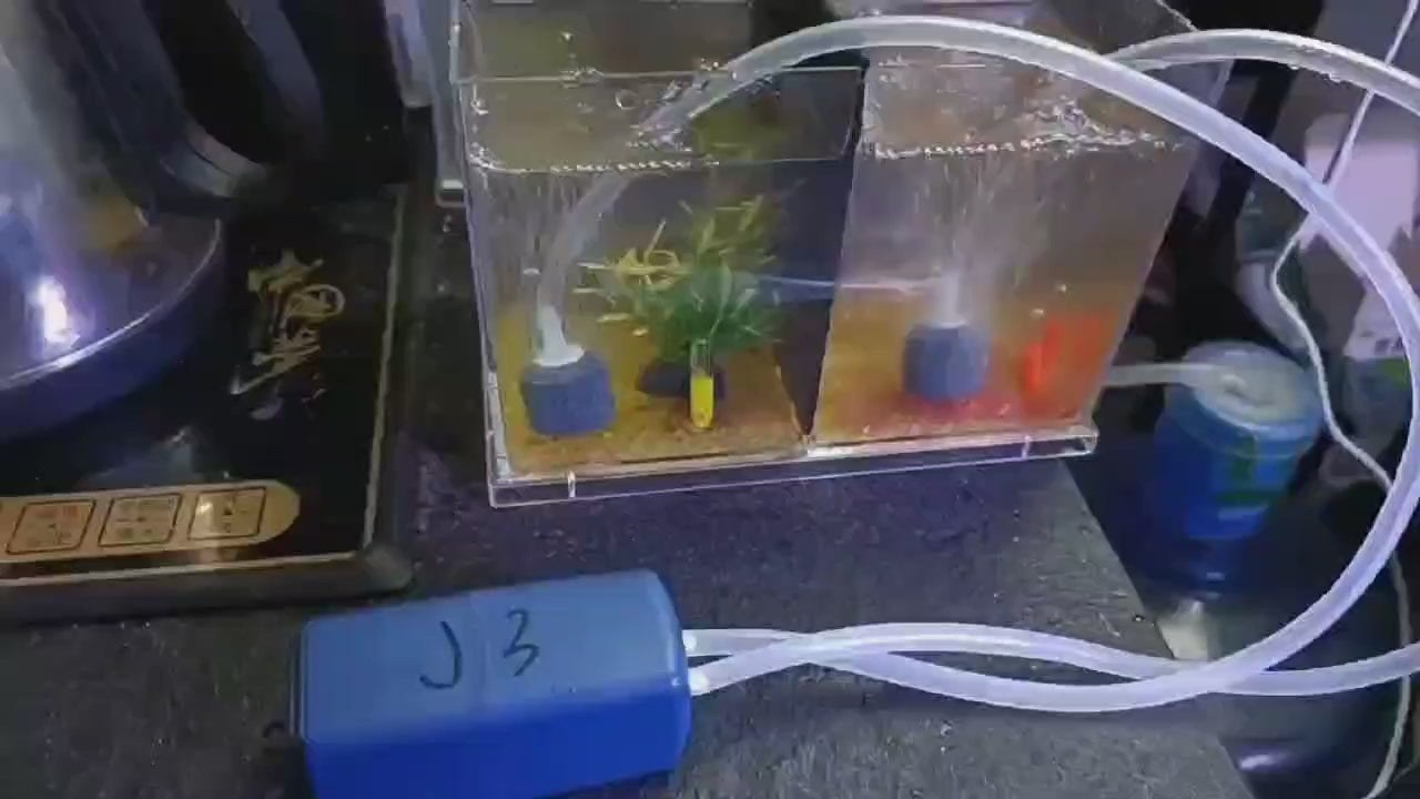 Mini Aquarium Air Pump Kit Oxygen Pump with Air Stone,Silent High Energy Efficient,USB Aquarium Filter, Fishing Tank Accessories